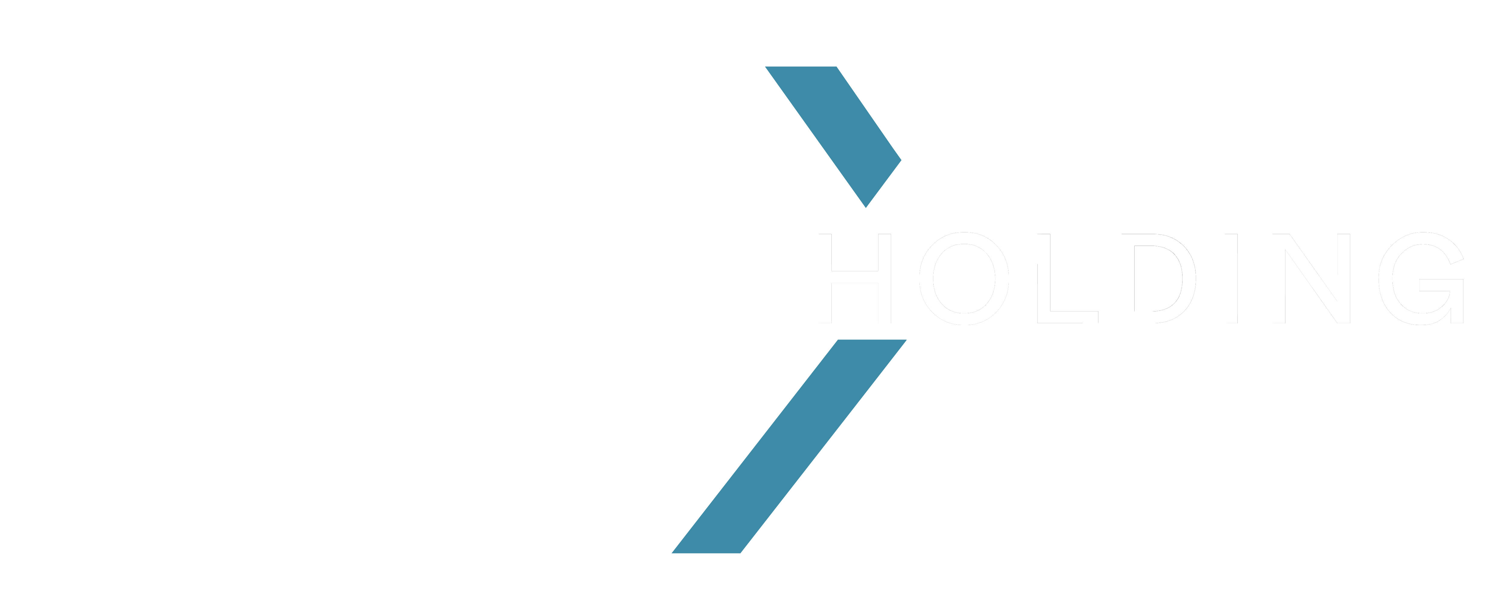 10x-holdings_icon@4x